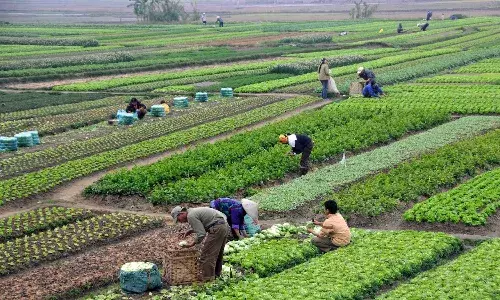 AP tops GGI ranking 2020-21 in agriculture and allied sectors