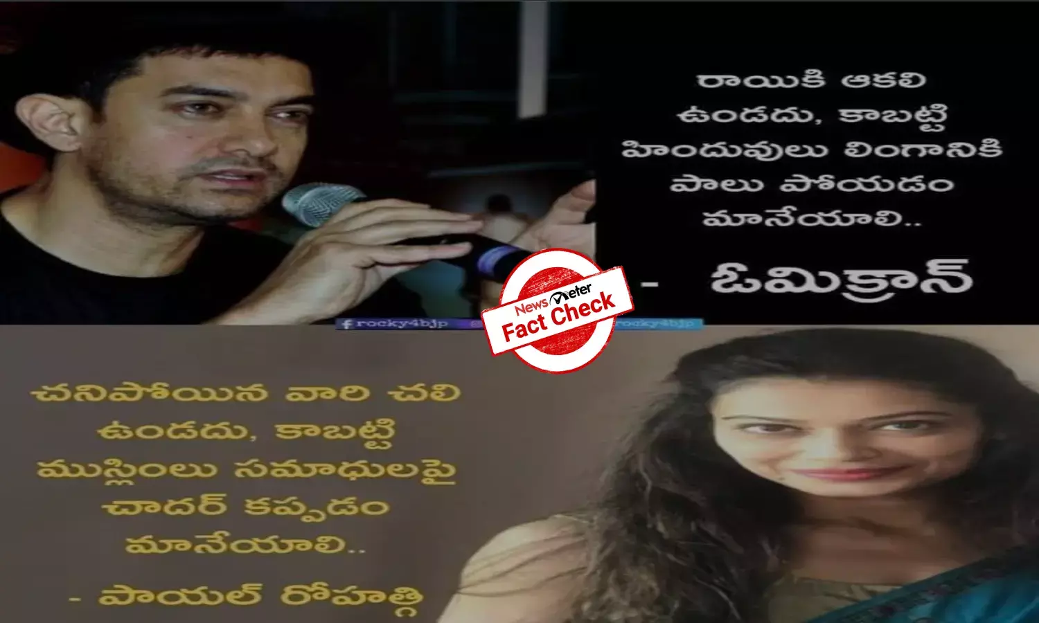 Fact Check: Amir Khan, Payal Rohatgi did not pass communal remarks