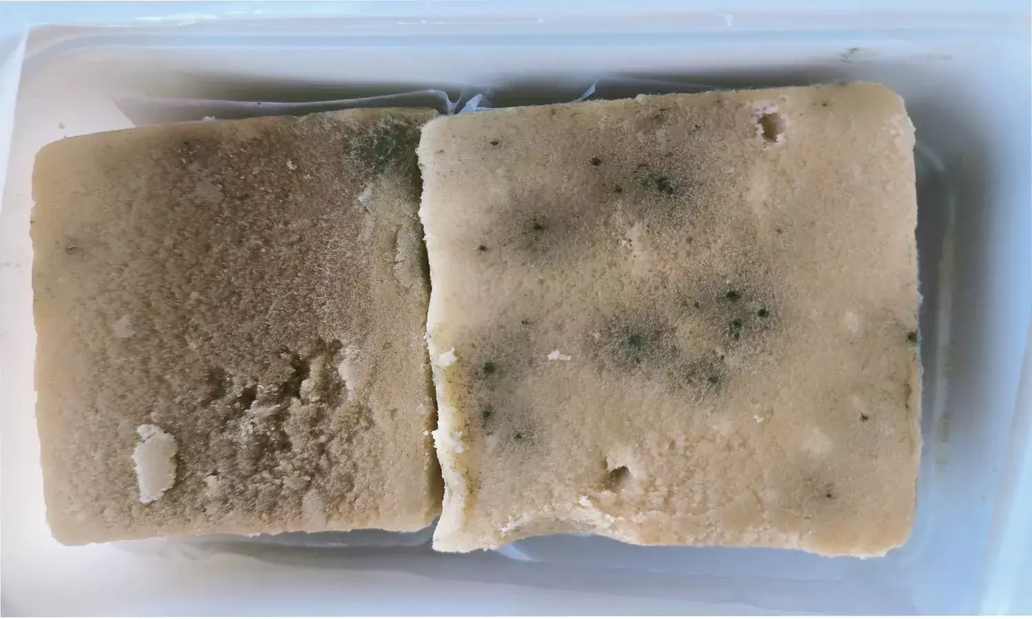 Khajaguda Karachi bakery fined Rs.10,000 for selling fungus–infested `Mysore Pak