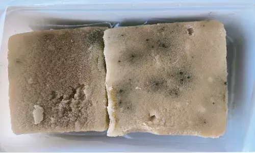 Khajaguda Karachi bakery fined Rs.10,000 for selling fungusāinfested `Mysore Pak