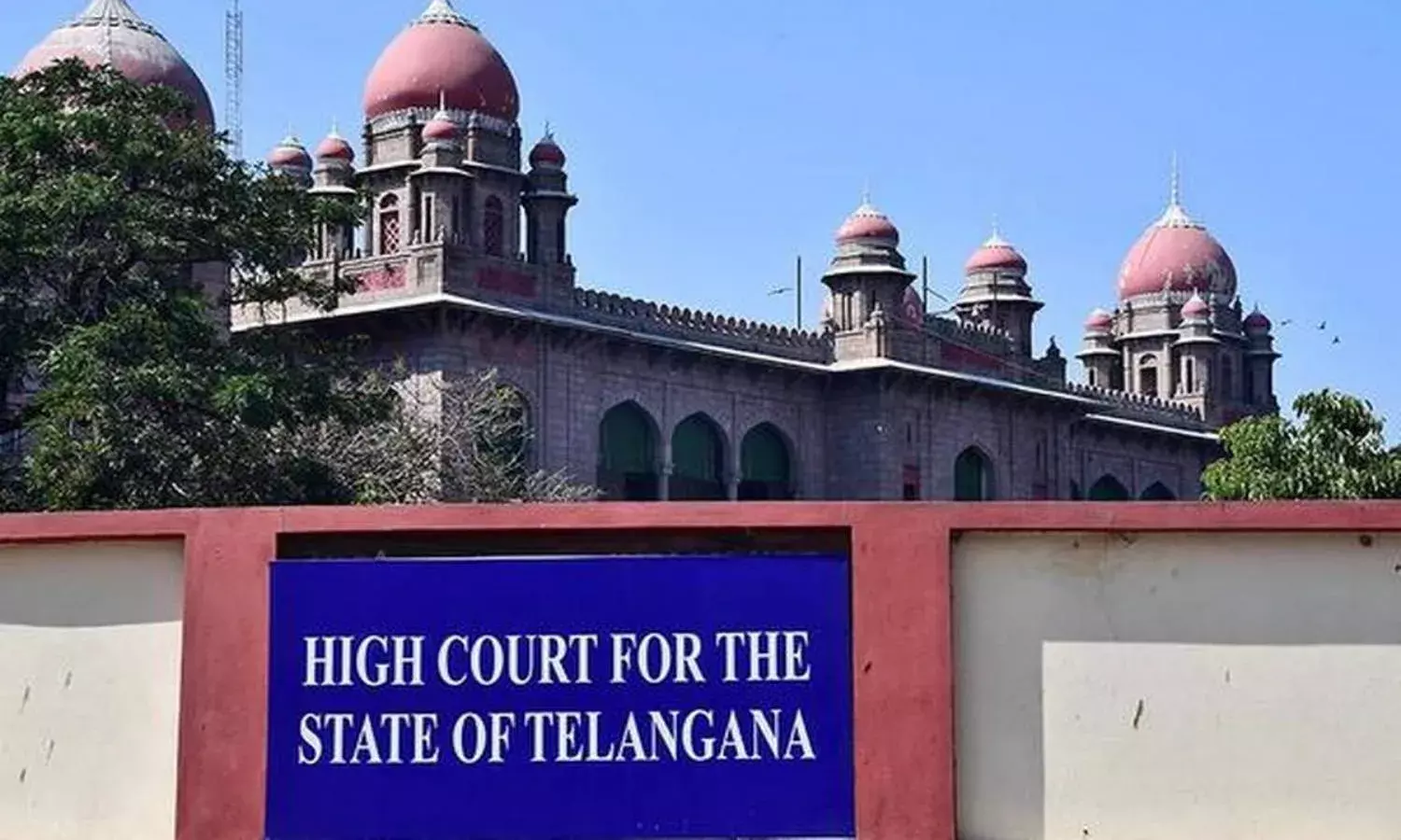 Telangana HC asks state to put complete ban on public gatherings
