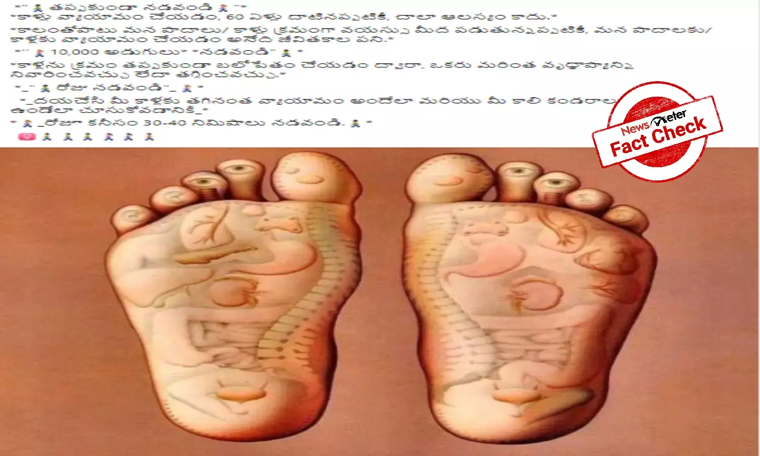 Fact Check: No scientific evidence to prove ageing starts from the feet