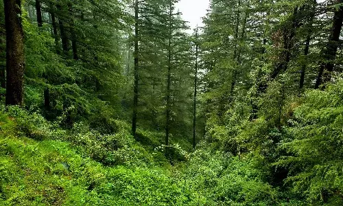 Green revolution: Telanganas forest cover increases by 632 sq km; Hyderabad biggest gainer among cities