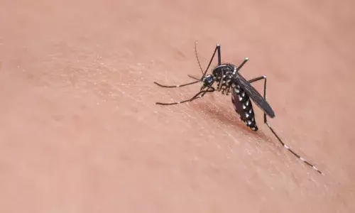 Forget Covid; dengue, malaria gave sleepless nights to Telangana last year