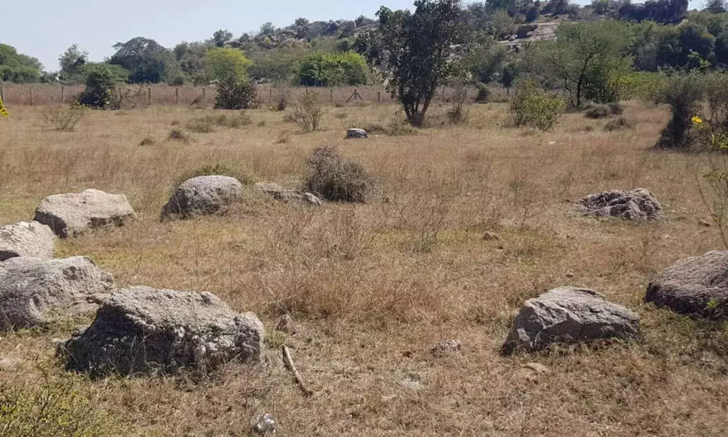Archeological treasure: Iron Age burial structures suffer from neglect at Yadadri