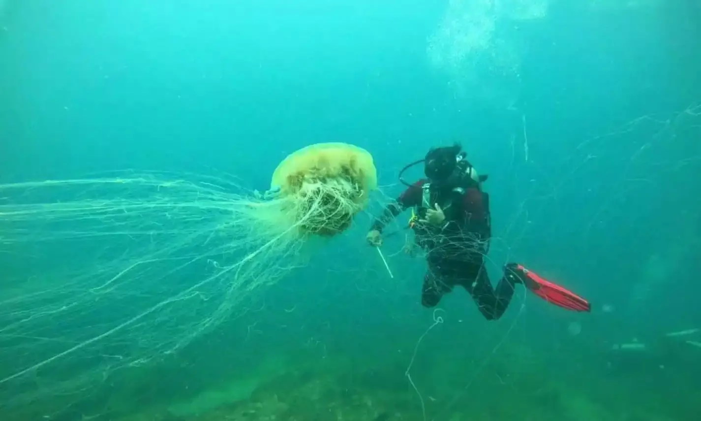 Institute for water sports likely to come up in Vizag, says Tourism Minister Kishan Reddy