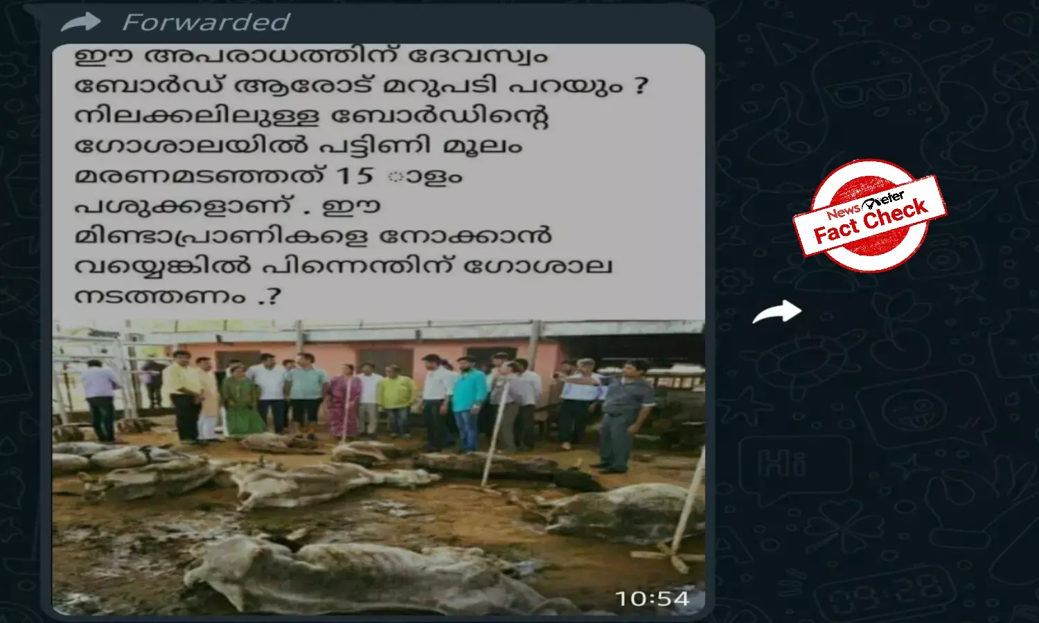 Fact Check: 2016 photo from Rajasthan falsely shared as cows dying at Kerala Devaswom Boards cowshed