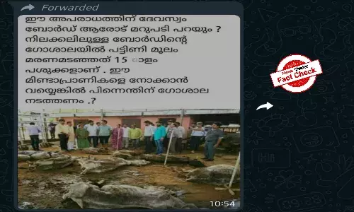 Fact Check: 2016 photo from Rajasthan falsely shared as cows dying at Kerala Devaswom Boards cowshed
