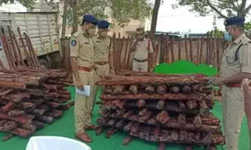 Beware real-life Pushpa! Andhra RSASTF is on prowl to combat red sander smuggling
