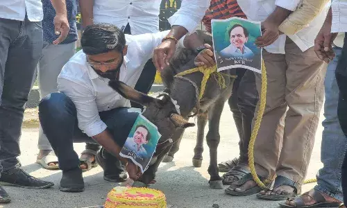 Congress Venkat Balmoori booked for stealing a donkey in Karimnagar