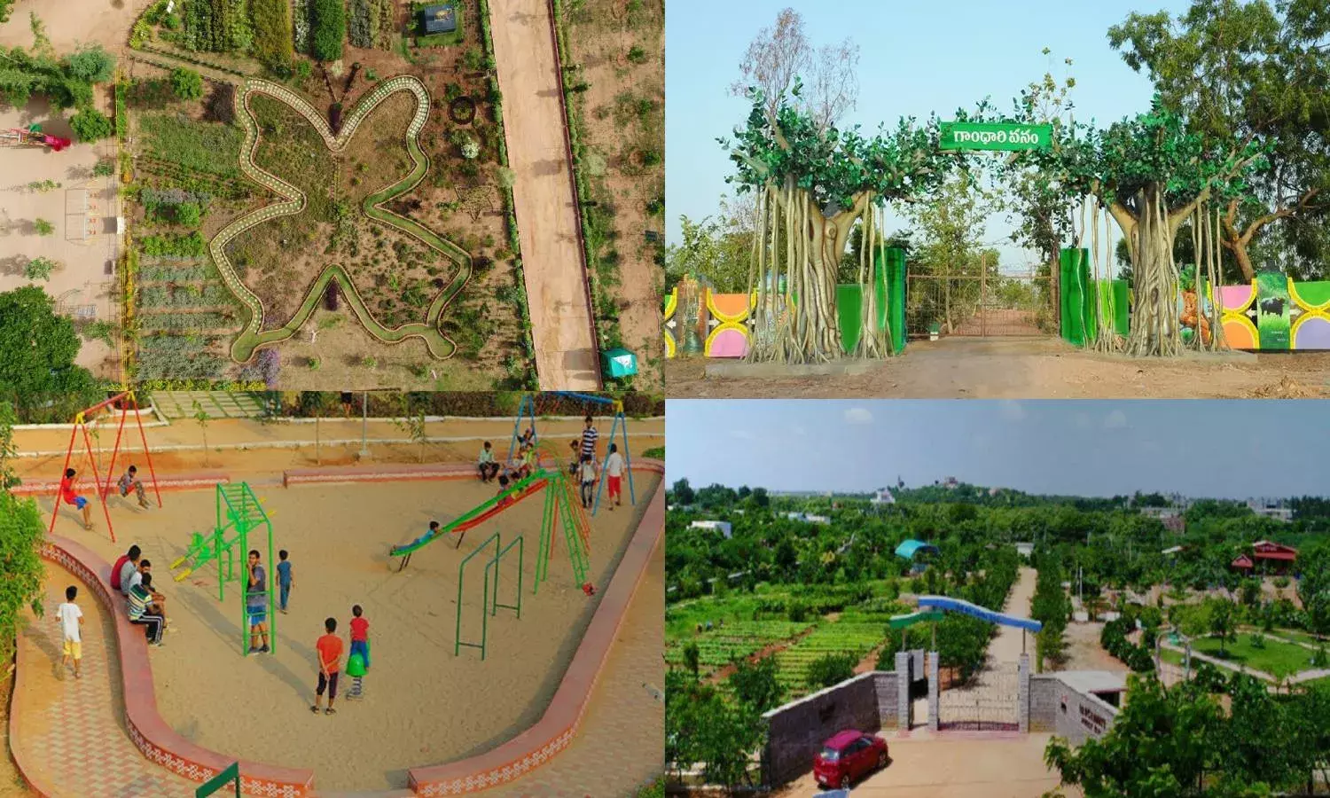 Nandanavanam  to Prasanthi Vanam:  NewsMeter takes you on a tour of  Telanganas urban parks
