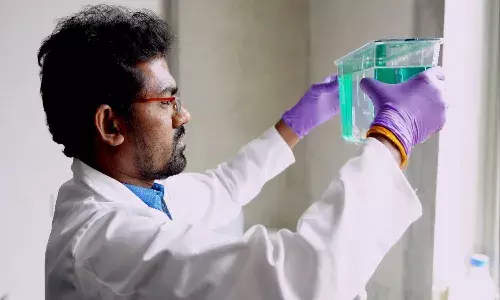 How antioxidants improve inhibitory nature of Triclosan on Acetylcholinesterase enzyme