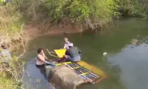 Guntur man dies after crashing milk van into well