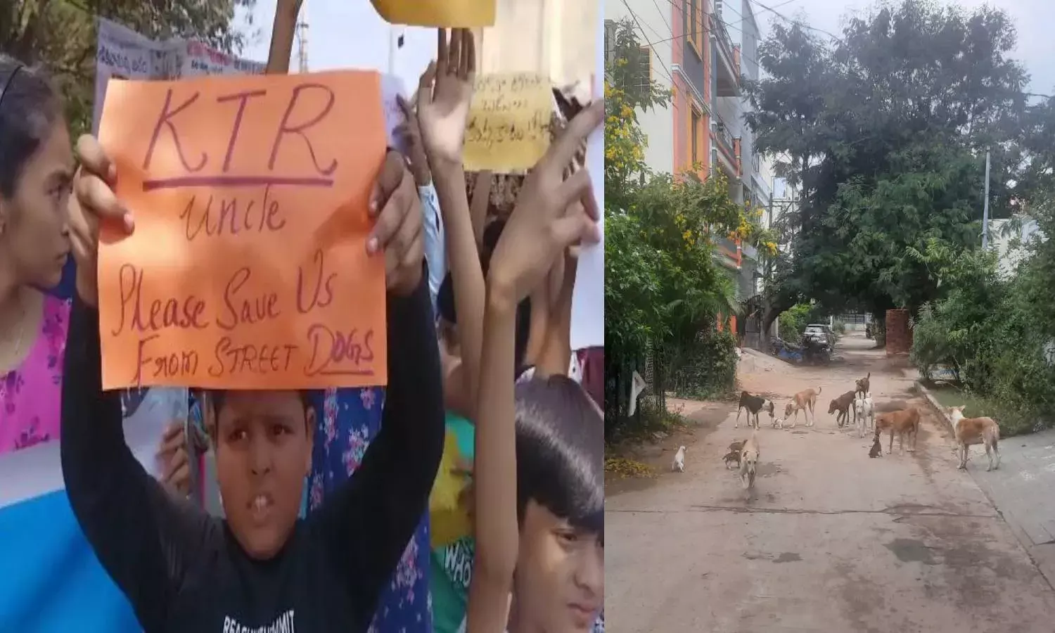 KTR uncle, please save us from street dogs: Kompally kids, residents protest