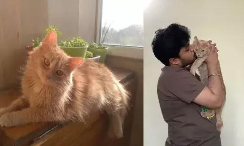 No one left behind: Khammam student travels home with cat from Ukraine