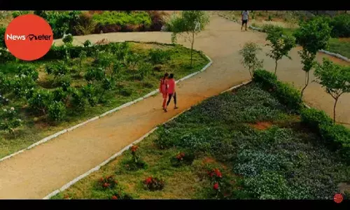Nandanavanam to Prasanthi Vanam: NewsMeter takes you on a tour of Telanganas urban parks