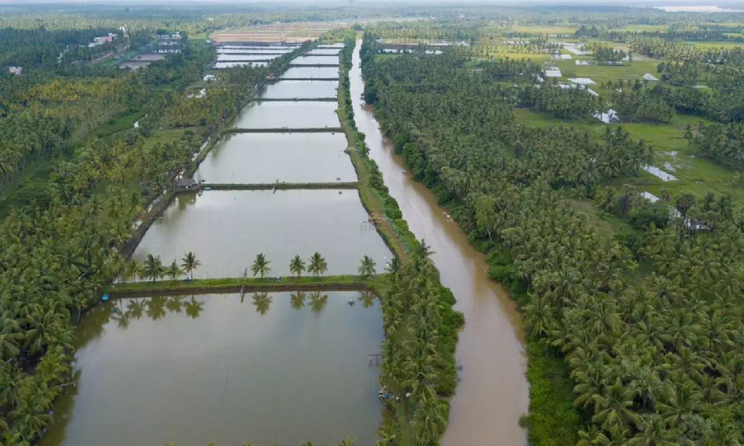 AP budget 2022: To improve green cover, create sustainable living space, AP allots Rs. 685.36 cr