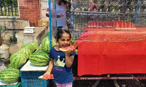 Stay cool: Max temp to be below normal in AP this summer