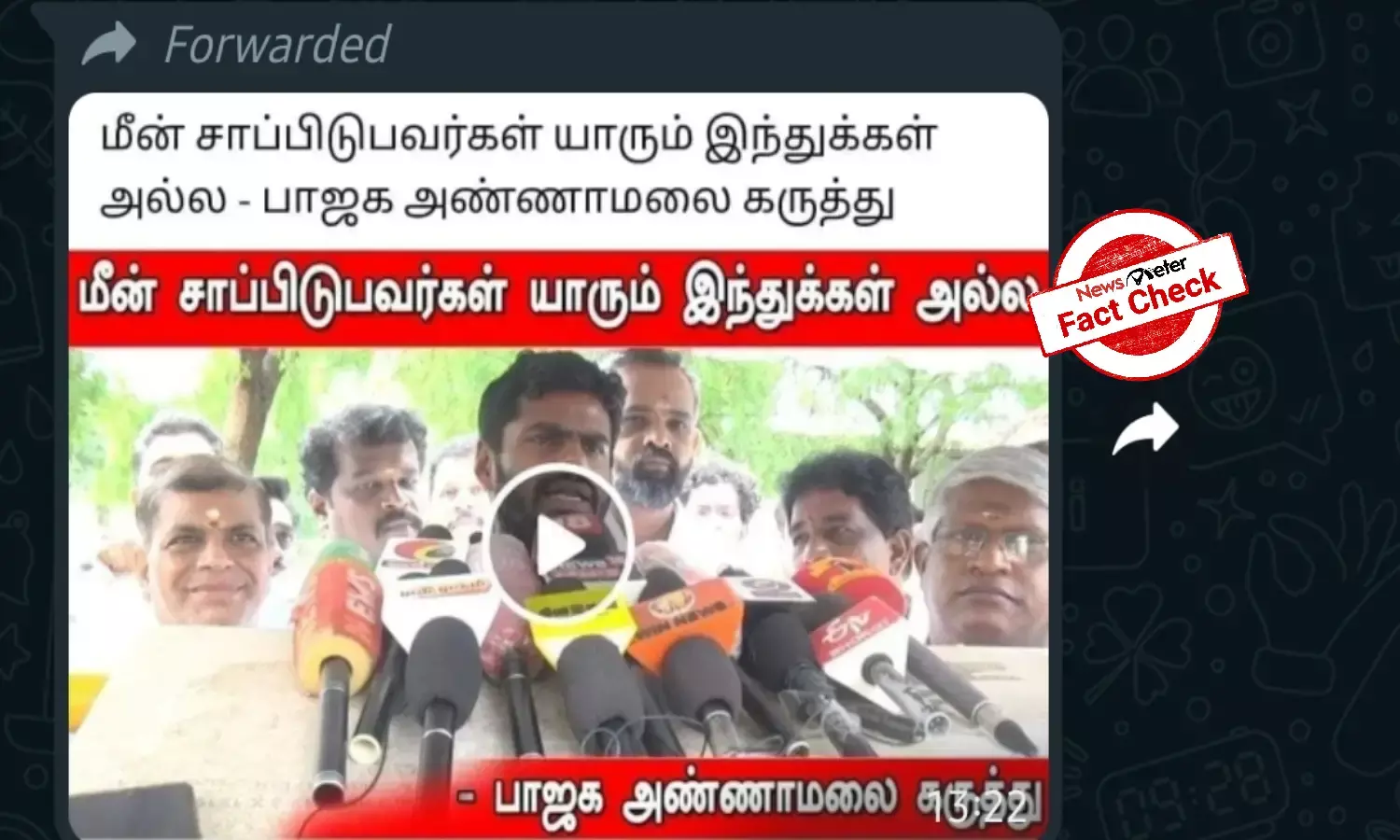 Fact Check: Did Tamil Nadu BJP chief Annamalai say people who eat fish are not Hindus?