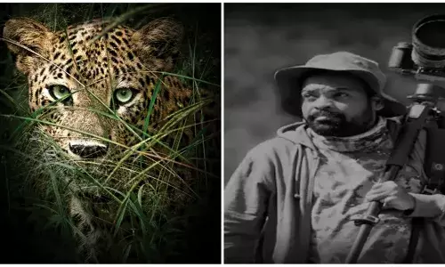 Face to face with a mother leopard: When wildlife photographer Madan stood 12 mt from big cat