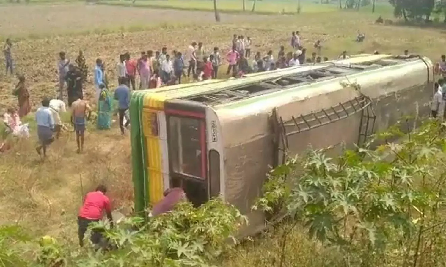 Overspeeding RTC hits a lorry in Nellore; one woman killed, 15 injured