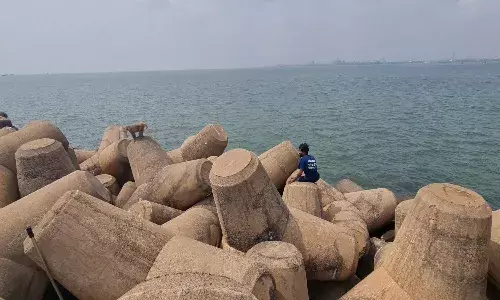 Kakinada: How animal rescuers saved a monkey stranded at sea