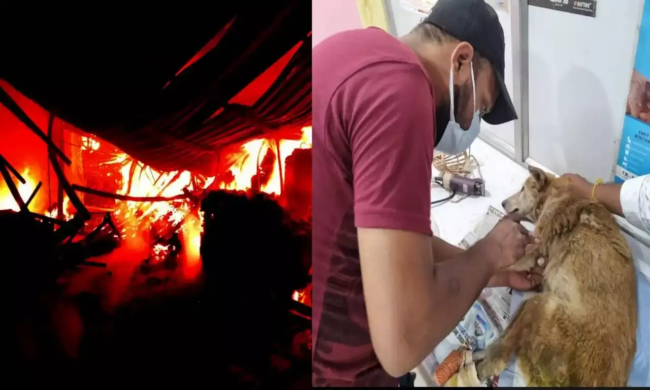 Burns, maggots, blood loss: Bhoigudas unknown survivor fights for life