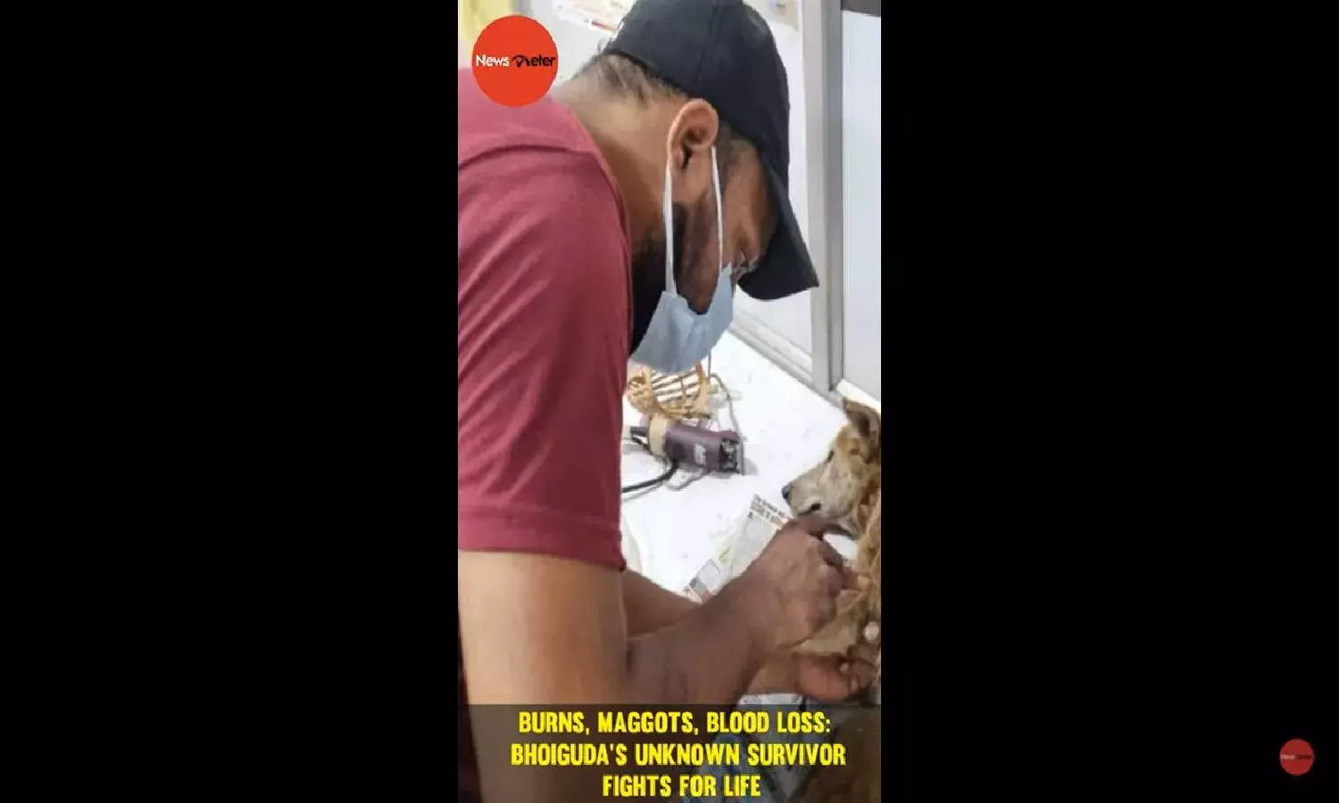 Burns, maggots, blood loss: Bhoigudas unknown survivor fights for life