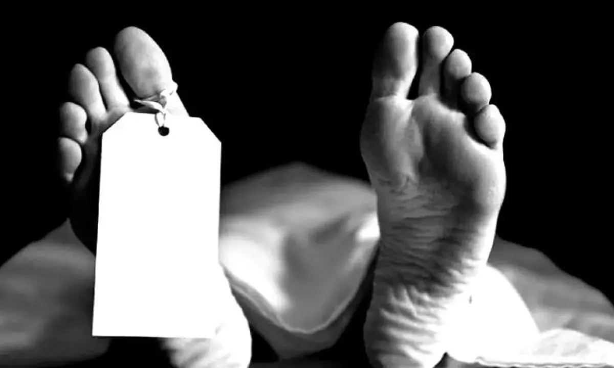 `Rat terror: Man bitten by rodents at Warangals MGMH dies in NIMS