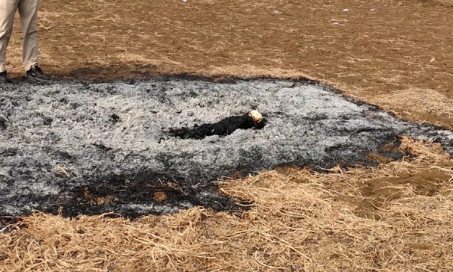 Childs burnt body found days after 4YO goes missing in Nandyal; police verifying link