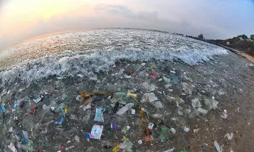 AP to turn plastic waste into value-added materials, pilot project to be launched soon