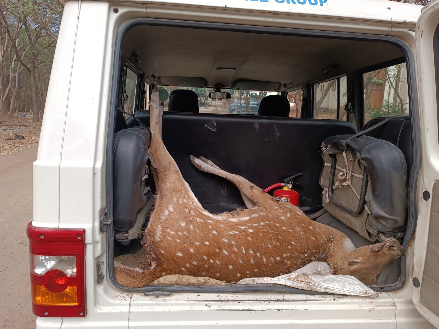 Another Spotted Deer Killed By Feral Dogs At UoH; 6th In 2 Months