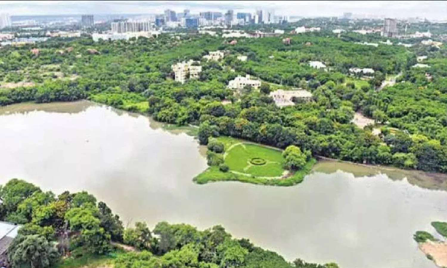 Green or not? Hyderabad recognised as Tree City but nature lovers not happy with tag