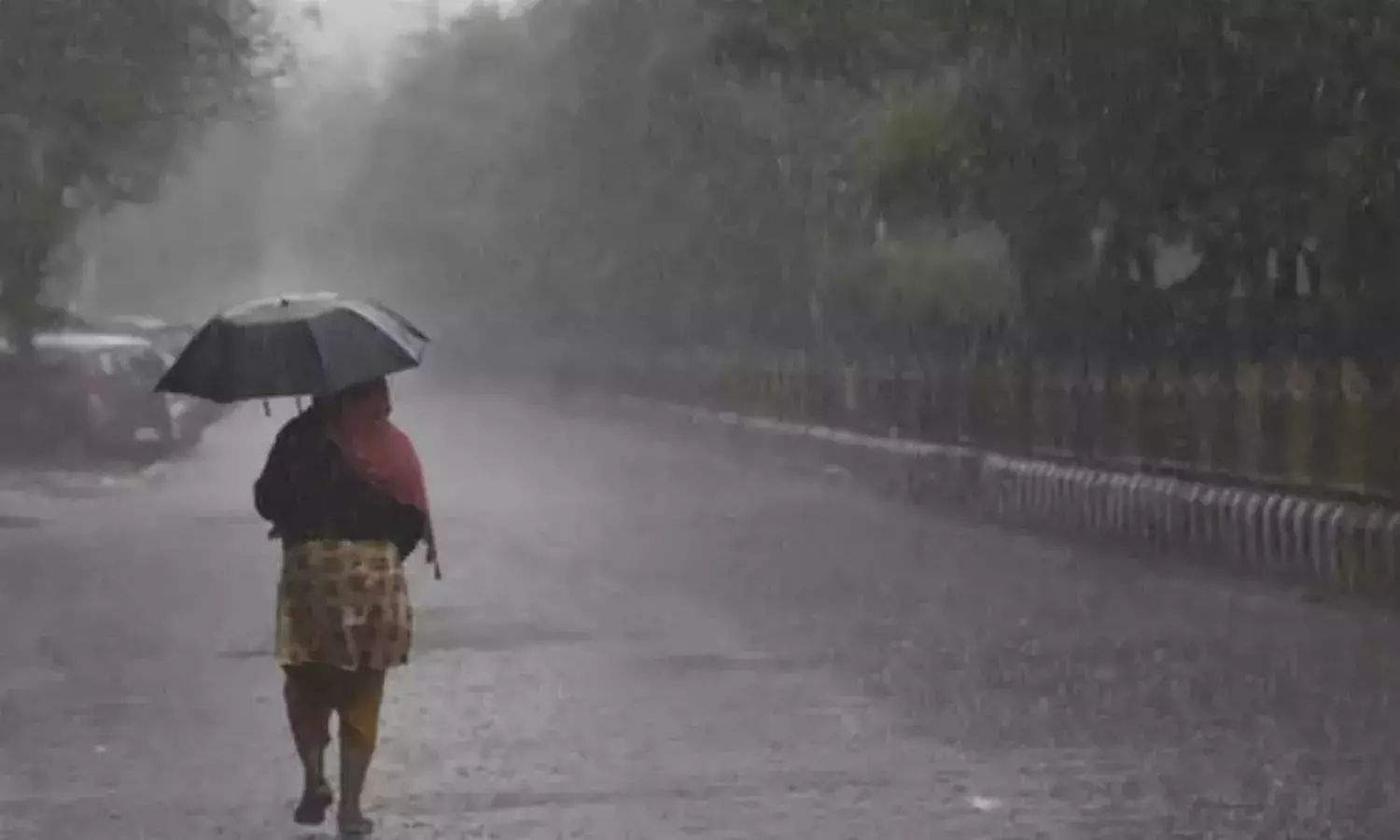 Yellow alert for TS; IMD predicts rainfall for next 5 days