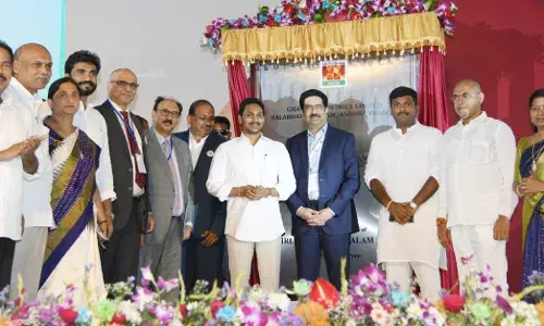 Jagan inaugurates Grasims first chlor-alkali unit in AP