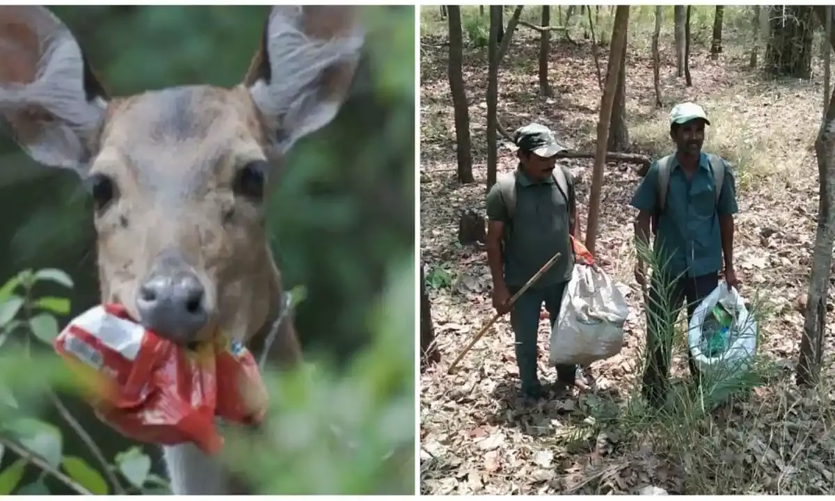 Mission Clean Kawal: TS launches cleanliness drive to make parks, forests plastic-free