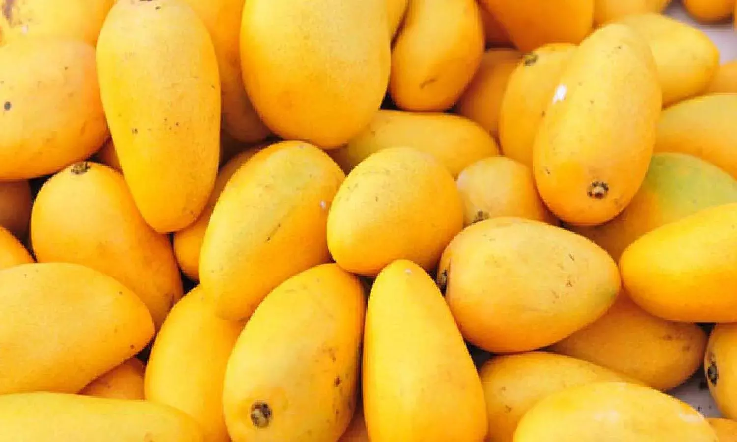 Dear mango: Low yield in TS to drive mango prices up this year