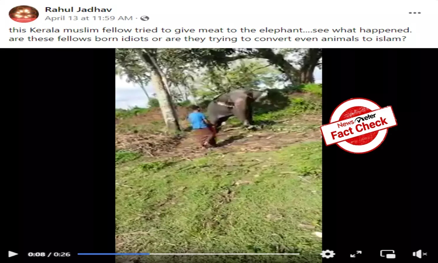 Fact Check: Kerala man did not feed meat to elephant