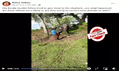 Fact Check: Kerala man did not feed meat to elephant