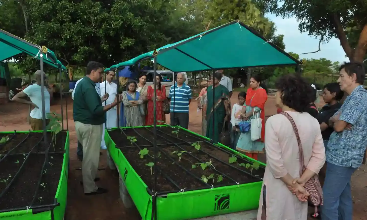 Living Greens: This Jaipur start-up is cooling homes with rooftop gardens