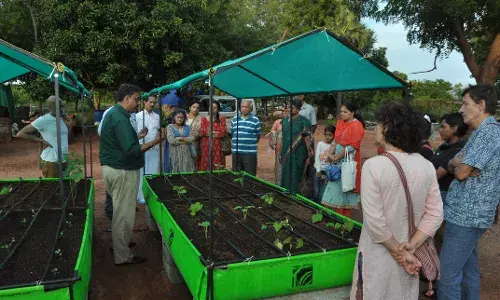 Living Greens: This Jaipur start-up is cooling homes with rooftop gardens