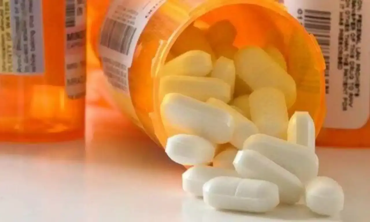 Bangalore Customs seize  4.5 kg of Ephedrine sent by courier from AP; 1 held