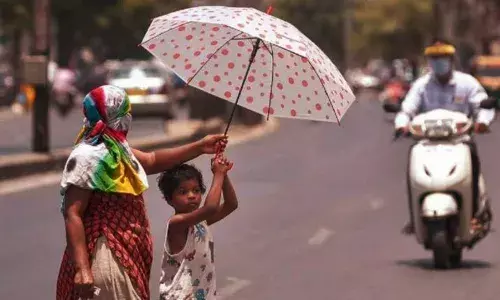 Andhra swelters: Mercury crosses 45 degree C;  Gudur records highest of 45.76 degree C
