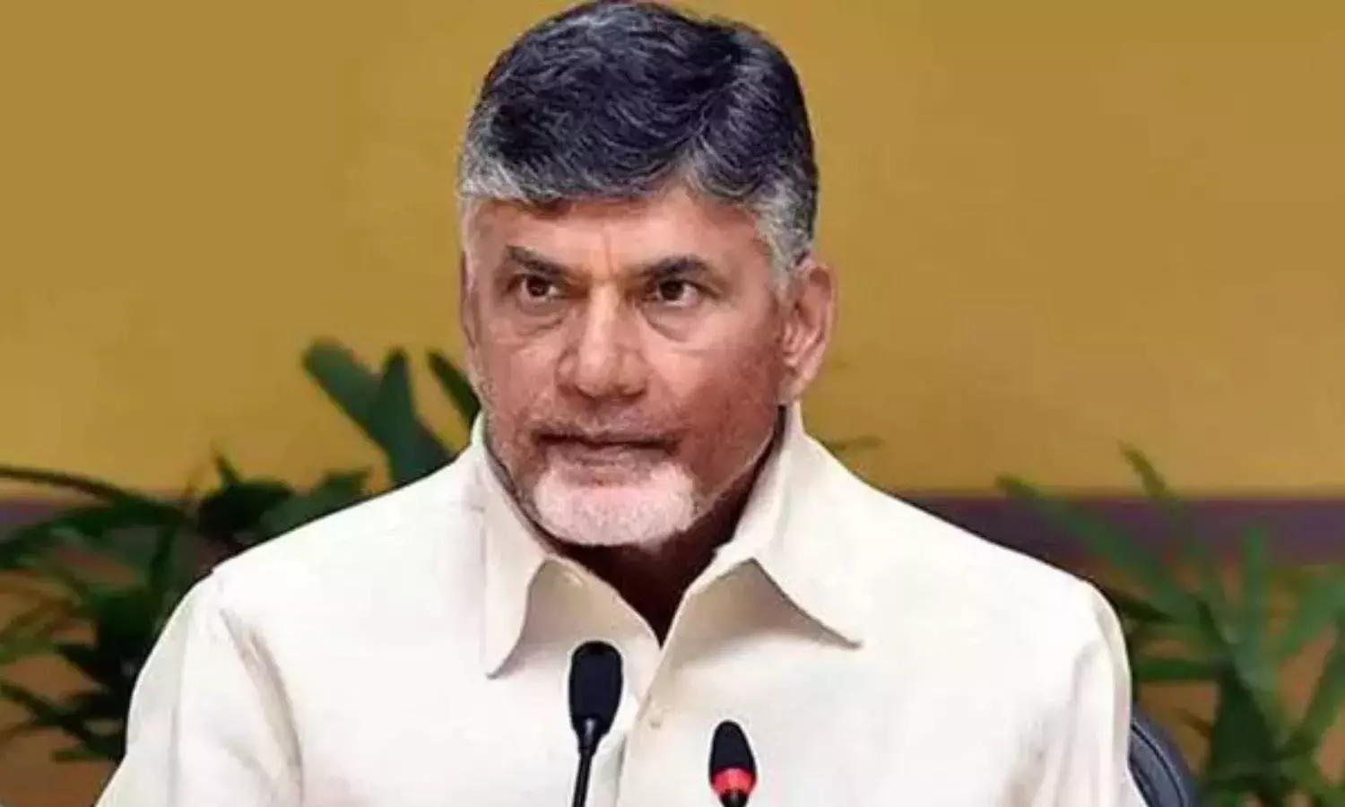 Crimes in AP will stop if Jagan steps down: Naidu