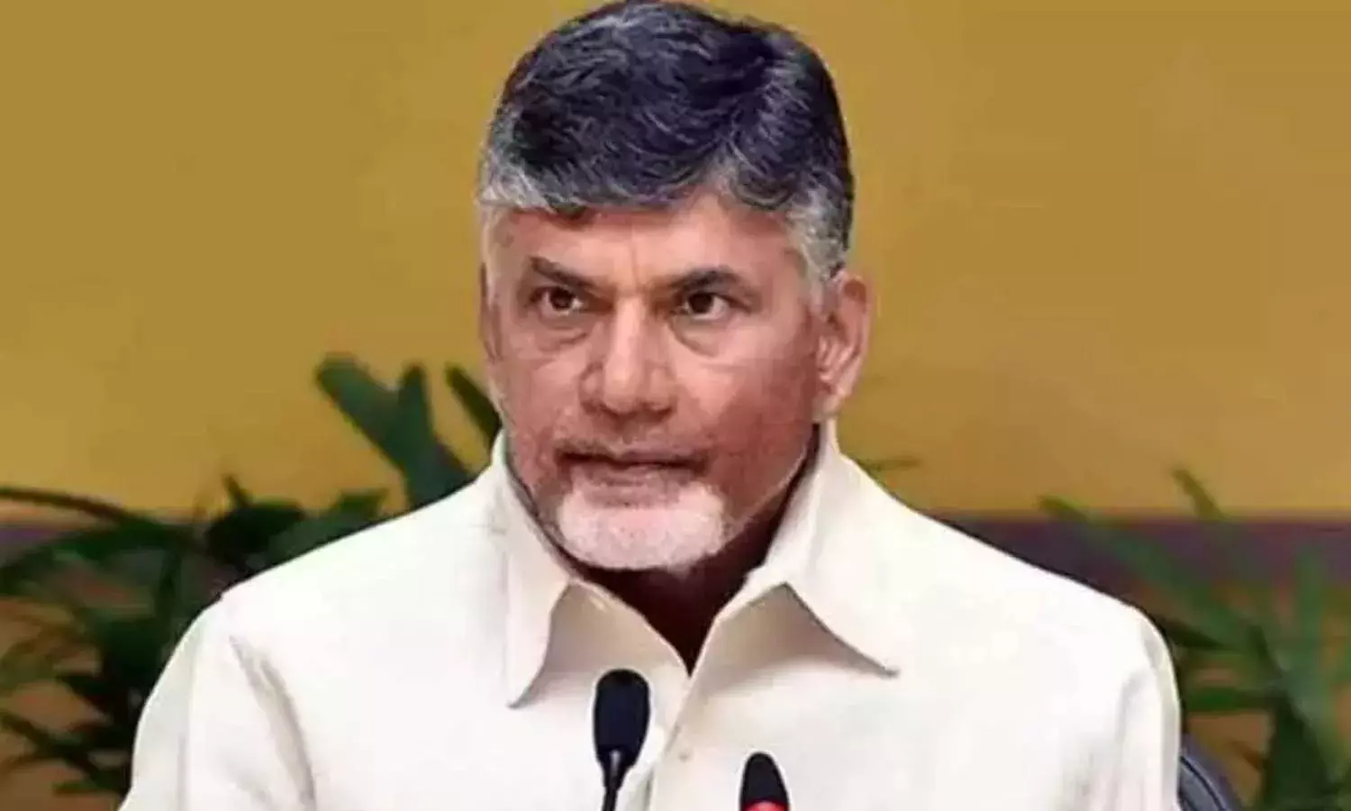 AP CID files cases against Naidu, others for irregularities in Inner Ring Road design