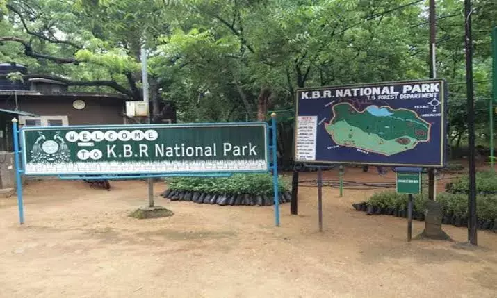 Activists call for halting KBR Park tunnel feasibility studies, allege major threat to park
