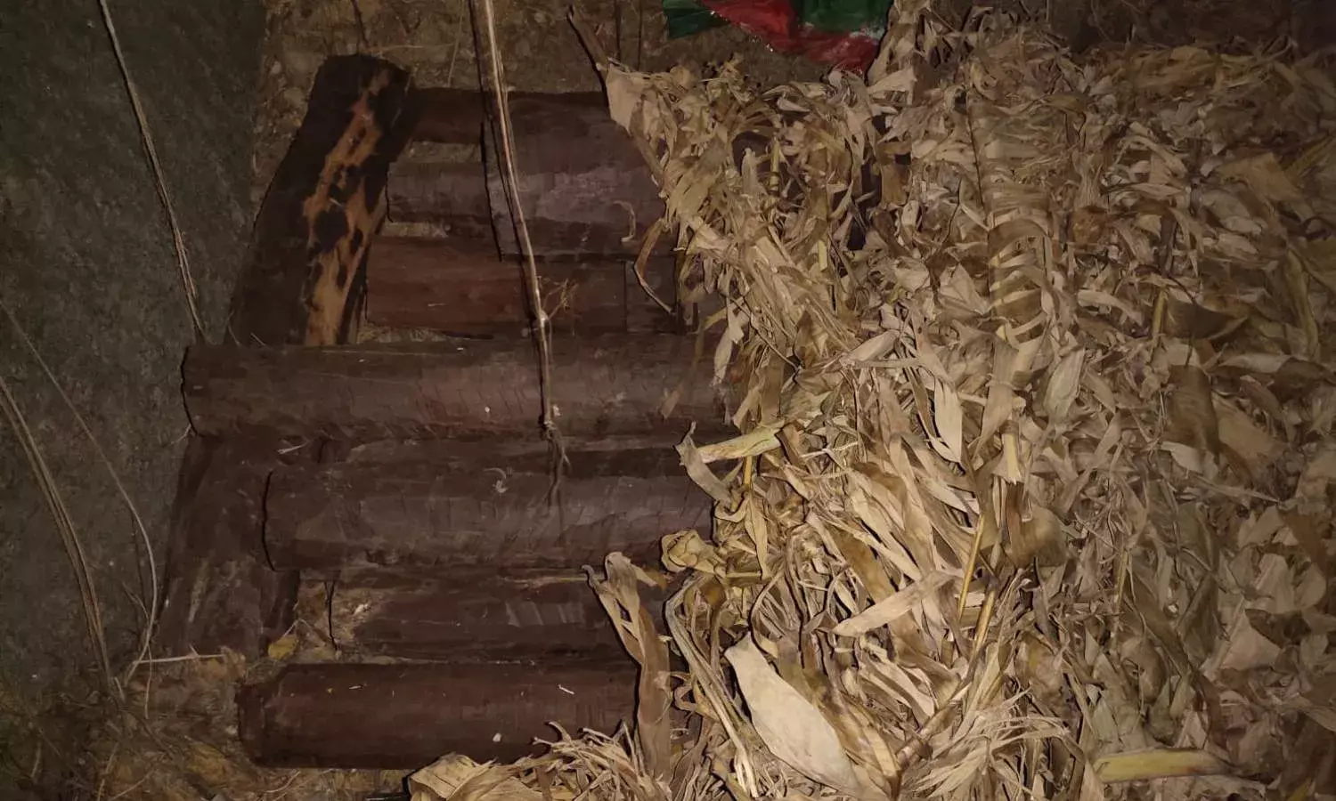 1,500 kg of red sanders worth Rs. 60.18L seized in Malkajgiri