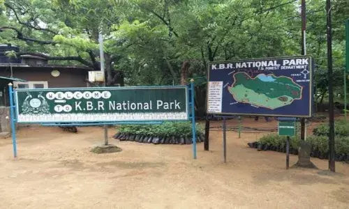 Activists call for halting KBR Park tunnel feasibility studies, allege major threat to park