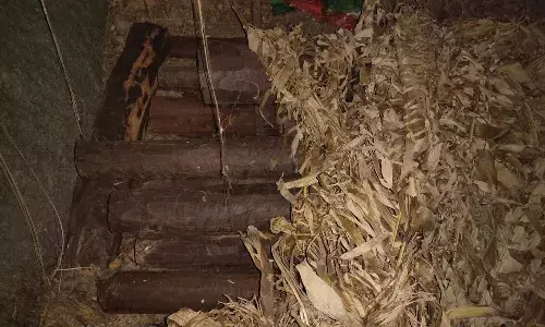 1,500 kg of red sanders worth Rs. 60.18L seized in Malkajgiri