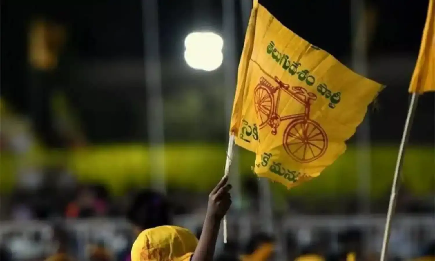 TDP Mahanadu conclave should focus on APs future: Naidu